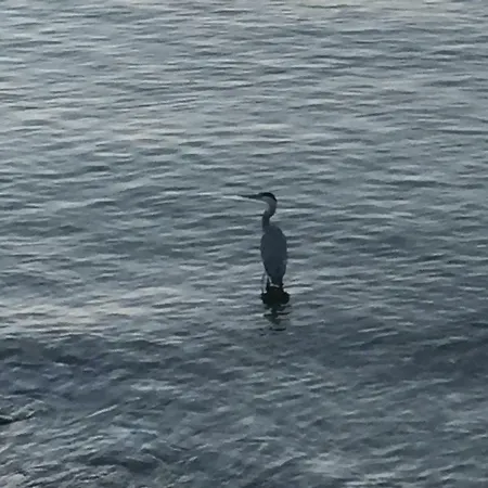 Apartamento Casa Mauri Lecco