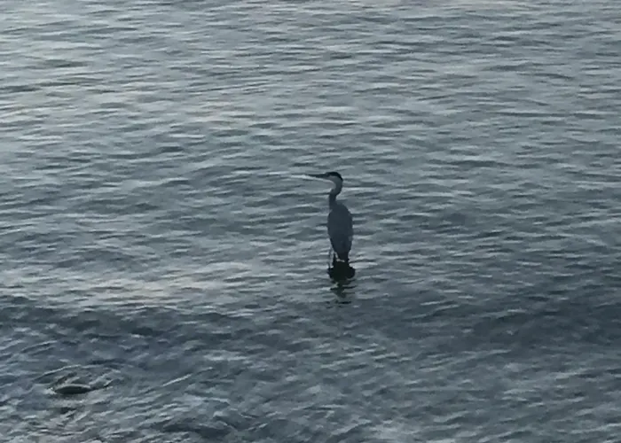 Apartament Casa Mauri Lecco